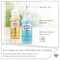 Plaid® Gallery Glass® 10 Piece Stained Glass Painting Starter Kit